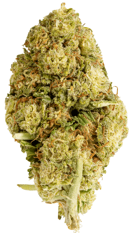 cannabis flower